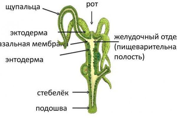 Даркнет каталог