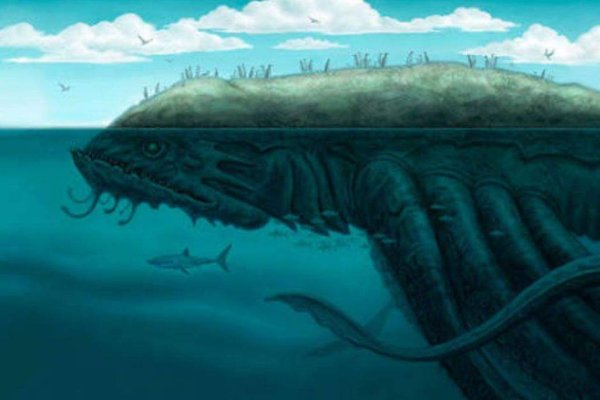 Kraken 24at