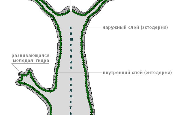 Кракен зеркало krakenat2krnkrnk com