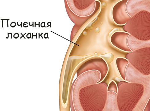 Кракен ссылка тор браузер